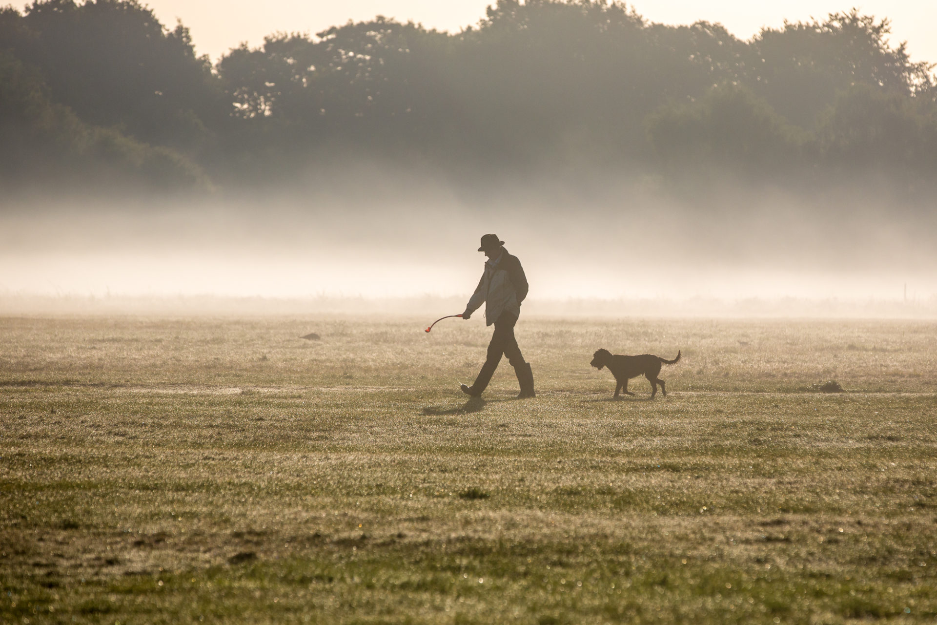 Walking dogs on Wimbledon & Putney Common