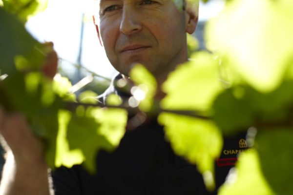 Chapel Down Viticulturist, Richard Lewis