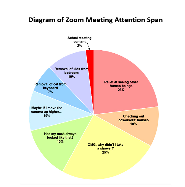 Zoom meeting attention span