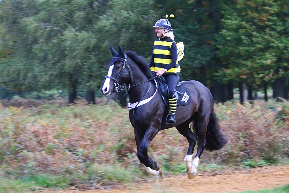 Wimbledon Village Stables