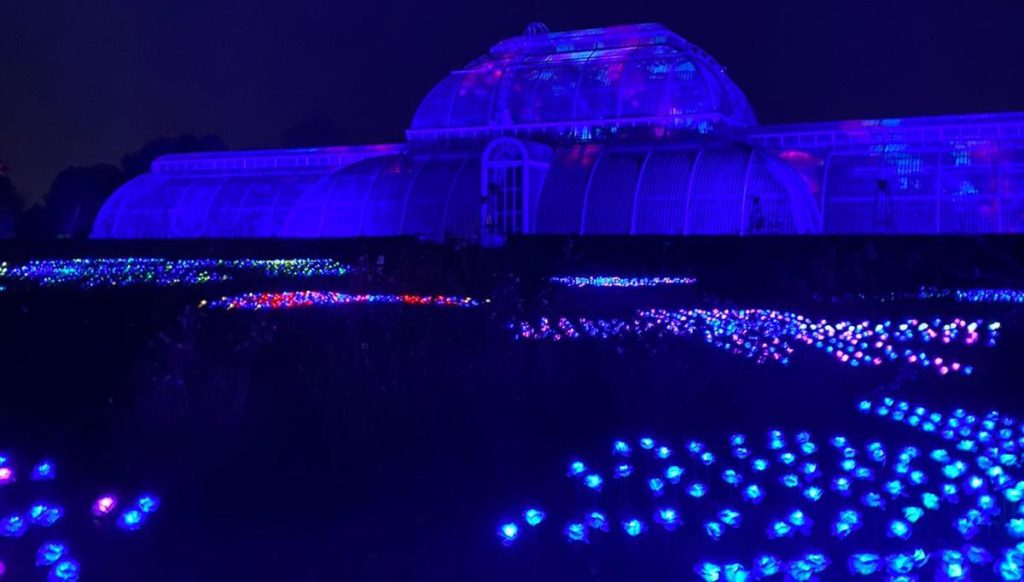 Christmas at Kew light exhibition