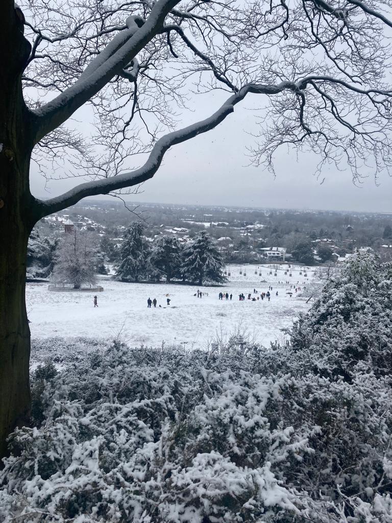 snow in Richmond Park