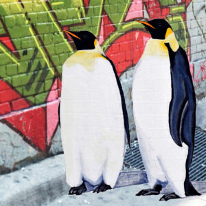 Kate-Winskill-fine-art-print-graffiti-penguin