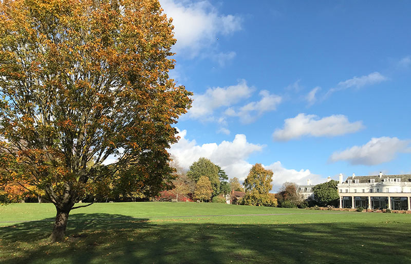 Cannizaro Park Wimbledon Nature Weekend