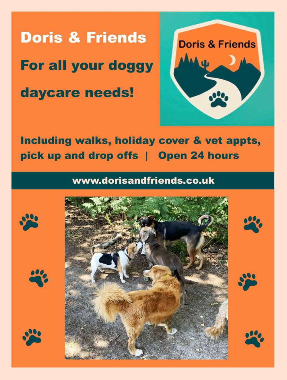 doris-and-friends daycare for dog-