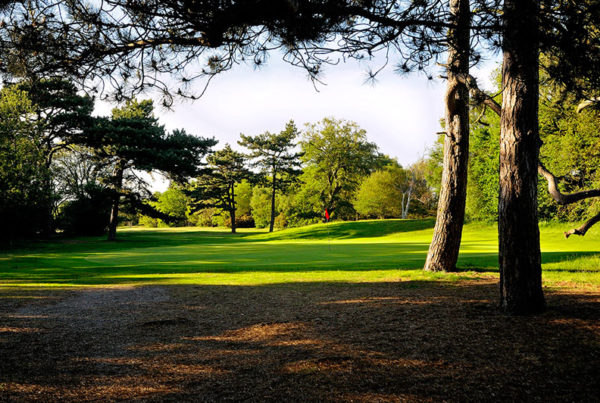 Wimbledon-Common-Golf-Club-fairways-destroyed