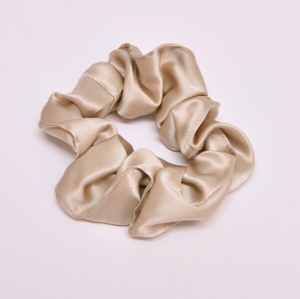 joanies-mulberry-silk-scrunchie-at-darling-magazine