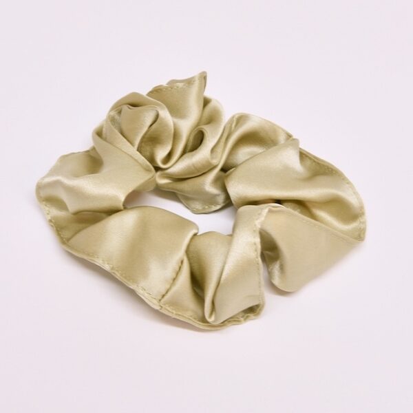 Joanies-mulberry-silk-scrunchie-at-darling-magazine