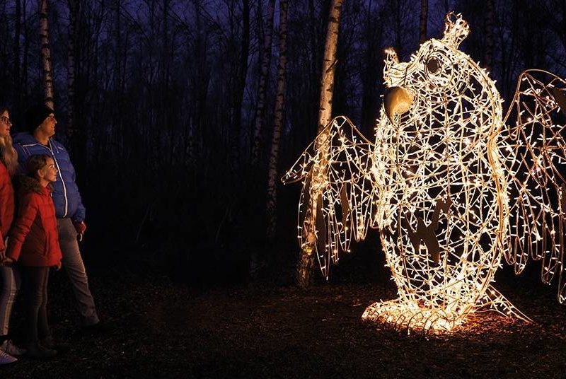 Illuminature-London-Wetland-Centre