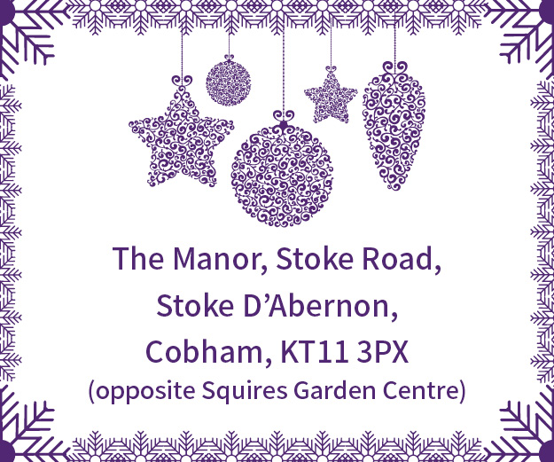 Parkside-School-Cobham-Christmas-Extravaganza