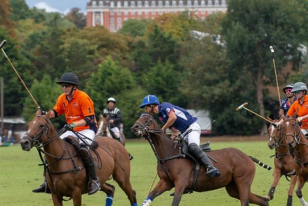 ham-polo-club-summer-season