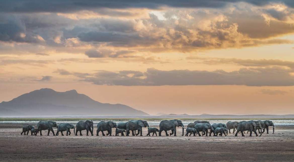 Africa in focus photographic Competition