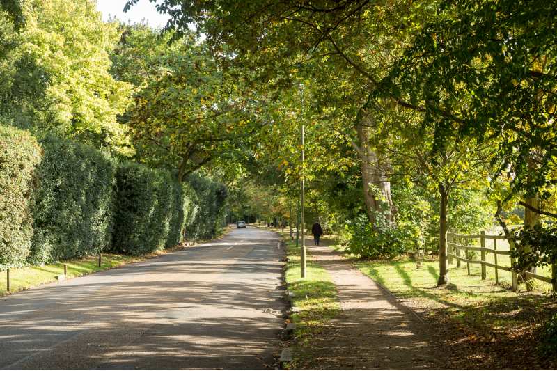 Coombe Estate – best place to live in SW London