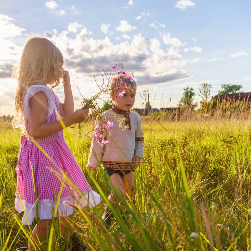 Photograph of two children in a field