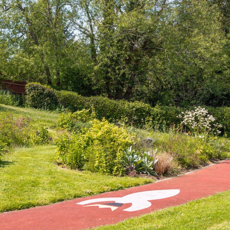 Photograph of the beautiful garden at Christopher's Hospice, Guildford