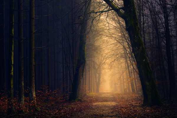 Spooky Adventures in London: The Best Scary Things to Do in the City-darling-magazine-uk-unsplash-image-johannes-plenio
