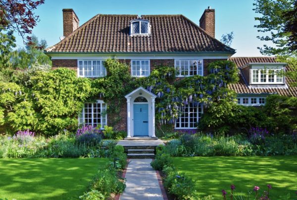 10 Ways to Make the Most of a North-Facing Garden-darling-magazine-uk