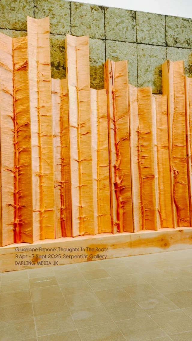 “Every word for trees collects days of rain, sun, and mist. It contains seasons, memories of places and time; it has a different meaning from person to person. These words fill the woods with their pre, invade the landscape, and guide our care for nature”

Giuseppe Penone: Thoughts in the Roots exhibition brings together sculptures, installations and drawings from 1969 to today. Using materials like wood, leaves, resin, bronze and marble, Penone’s practice explores the synergy between artistic and organic processes. Trees embody the ‘primal and most simple ideas of vitality, culture and sculpture’.

The exhibition extends into the surrounding landscape of Kensington Gardens with three life sized bronze trees stand.

📆 3 April - 7 September 2025
📍 @serpentinegallery Kensington Gardens, W2 3XA
🎟️ FREE

#darlingmagazineuk #serpentine #serpentinegallery #exhibition #artexhibitions #giuseppepenone #thoughtsintheroots #artist #art #artgallery